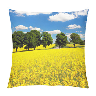 Personality  Field Of Rapeseed, Canola Or Colza Pillow Covers