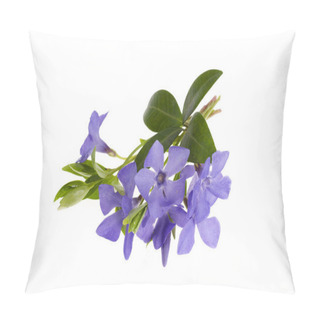 Personality  Blue Flowers And Leaves Of Vinca Isolated On White Background Pillow Covers