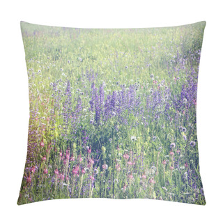 Personality  Enchanting Field Full Of Beautiful Spontaneous And Colorful Wild Flowers. Nature Spring Background, Soft Focus And Blur Pillow Covers