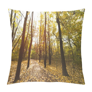 Personality  Pathway In Autumn Park Pillow Covers