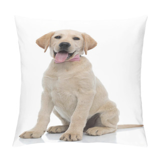 Personality  Happy Elegant Labrador Retriever Puppy Wearing Pink Bow Tie  Pillow Covers