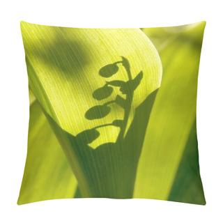 Personality  Lily Of The Valley Pillow Covers