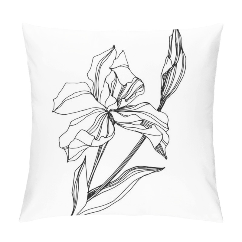 Personality  Vector Iris floral botanical flower. Wild spring leaf wildflower isolated. Black and white engraved ink art. Isolated iris illustration element on white background. pillow covers