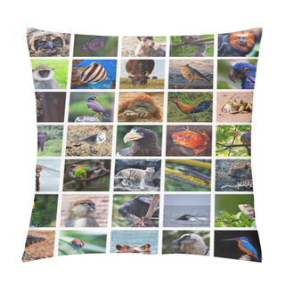 Personality  Animals Od The World Pillow Covers