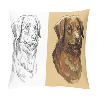 Personality  Realistic Head Of Nova Scotia Duck Tolling Retriever Dog. Vector Black And White And Colorful Isolated Illustration Of Dog. For Decoration, Coloring Book, Design, Prints, Posters, Postcards, Stickers, Tattoo, T-shirt Pillow Covers