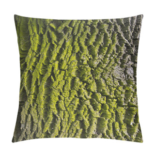 Personality  Moss And Bark Texture Pillow Covers