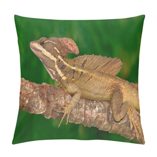 Personality  Brown Basilisk In Nature Habitat Pillow Covers