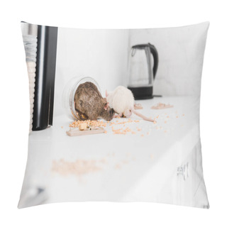 Personality  Selective Focus Of Small Rats In Glass Jar With Cereals On Table  Pillow Covers
