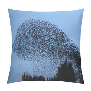 Personality  Starling Pillow Covers