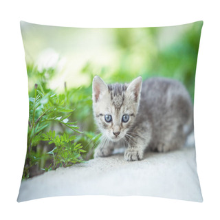 Personality  Baby Kitten Playing In Garden Pillow Covers