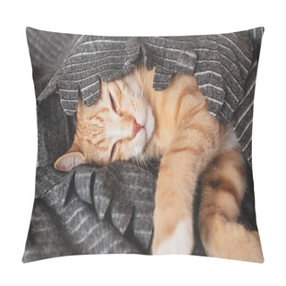 Personality  Cute Little Ginger Kitten Sleeping In Gray Blanket, Relax Time, Toned Photo, Vintage Pillow Covers