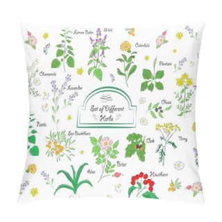 Personality  The Plants Set Pillow Covers