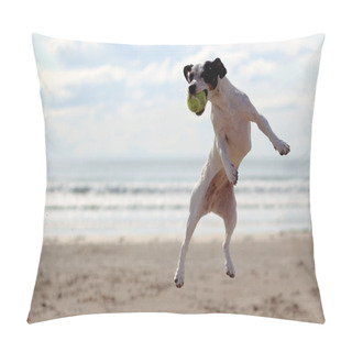 Personality  A Dog On The Beach Catching A Tennis Ball Pillow Covers