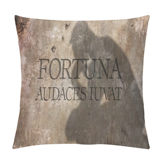 Personality  Fortuna Audaces Iuvat. A Latin Phrase. Pillow Covers