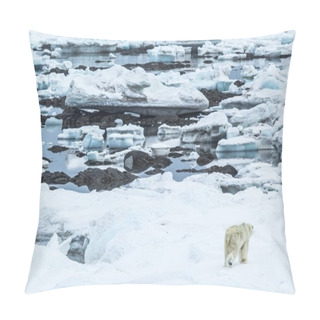 Personality  Arctic Spring In Spitsbergen.  Polar Bear In The Area Fjord Hornsund. Pillow Covers