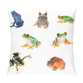 Personality  Four Different Frogs  Pillow Covers