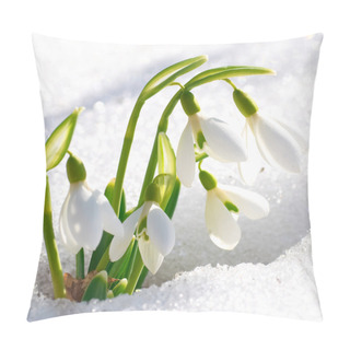 Personality  Spring Snowdrop Flowers Pillow Covers