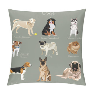 Personality  Different Type Of Dogs Set Isolated. Big And Small Animals Pillow Covers