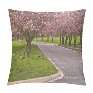 Personality  Spring Blooms Pink Row Trees In A Park. Pillow Covers