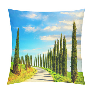 Personality  Tuscany, Cypress Trees White Road Rural Landscape, Italy, Europe Pillow Covers