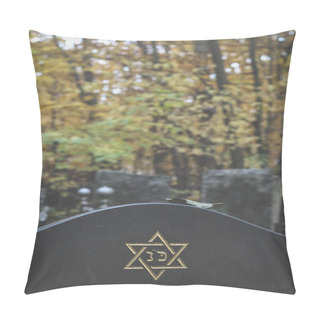 Personality  Six Pointed Star Or Hexagram On Tombstone. Autumn Jewish Cemetery Pillow Covers