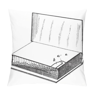 Personality  Index Device For Books, List Of Words, Phrases, Associated Points,  Names Of People, Places, Events,  Concepts, Book, Catalog,  Library, Reader, Vintage Line Drawing Or Engraving Illustration. Pillow Covers