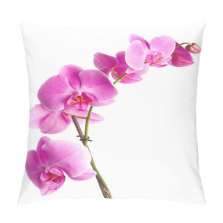 Personality  Pink Orchid Pillow Covers