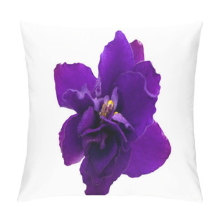 Personality  Blue Single Violet Flower Pillow Covers