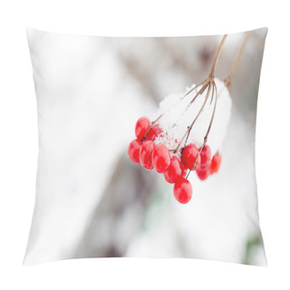 Personality  Mountain Ash In Snow Pillow Covers