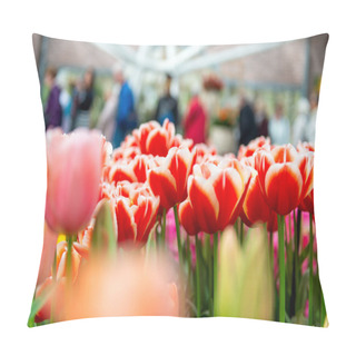 Personality  Beautiful Dutch Tulips Blooming In Spring Pillow Covers