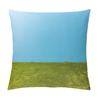Personality  Green Carpet In Front Of Blue Wall Pillow Covers
