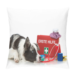 Personality  Young Border Collie With First Aid Kit Pillow Covers