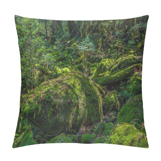 Personality  Primival Forest Hiking Trails In Yakushima, Japan Pillow Covers