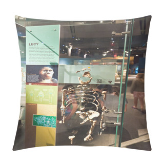 Personality  Human Skeletton In The American Museum For National History Pillow Covers