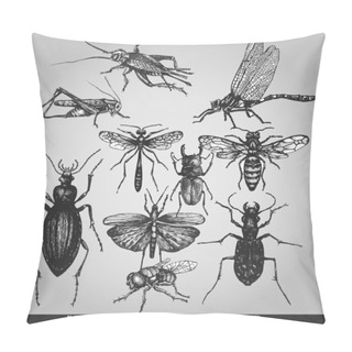 Personality  Vector Set Of Insects On Grunge Background Pillow Covers
