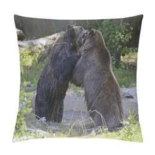 Personality  Grizzly Bear - Isolated Pillow Covers