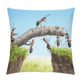 Personality  Team Of Ants Constructing Bridge, Teamwork Pillow Covers