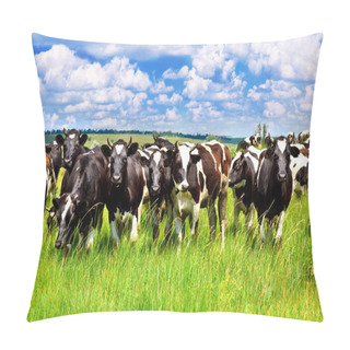 Personality  Cattle In The Meadow Pillow Covers