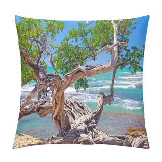 Personality  Beautiful Coast Landscape With Twisted Crooked Gnarled Old Buttonwood Tree On Rock, Turquoise Caribbean Sea Waves, Blue Sky - Treasure Beach, Jamaica Pillow Covers