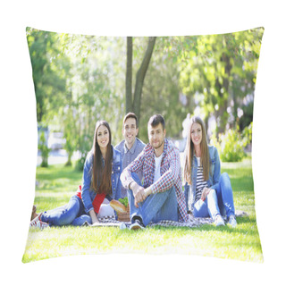 Personality  Happy Friends On Picnic In Park Pillow Covers