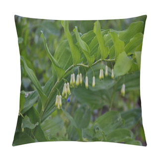 Personality  Solomons Seal, Polygonatum Multiflorum. Green Stem With Tubular, Bell Shaped Pillow Covers