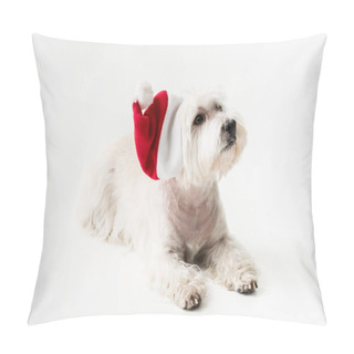 Personality   White Terrier In Santa Hat With Gift Pillow Covers