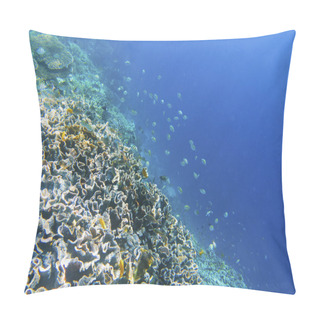 Personality  Coral Reef Wall With Dascillus Fish. Exotic Island Shore. Tropical Seashore Landscape Underwater Photo. Coral Reef Animal. Sea Nature. Sea Fish In Coral. Undersea View Of Marine Life. Coral Landscape Pillow Covers