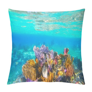 Personality  Mayan Riviera Reef Snorkel Underwater Coral Paradise Pillow Covers
