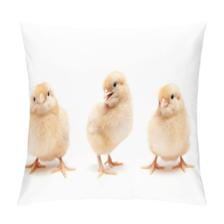 Personality  Three Cute Baby Chickens Chicks Pillow Covers
