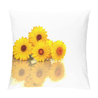 Personality  Australian Yellow Paper Daisy Flower Pillow Covers