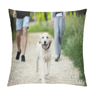 Personality  Beautiful Dog For A Walk In The Park Runs Pillow Covers