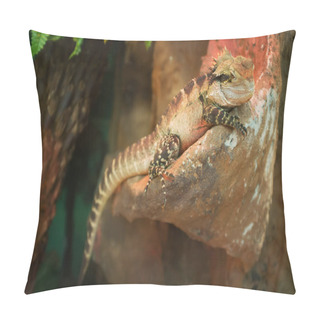 Personality  Eastern Water Dragon Resting On A Stone. Pillow Covers
