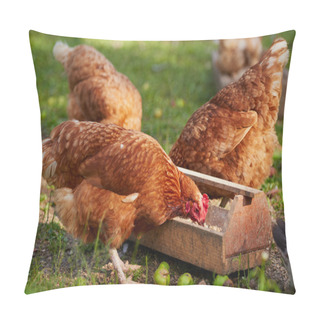 Personality  Chickens On Traditional Free Range Poultry Farm Pillow Covers