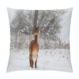 Personality  Alpaca In A Snow Covered Field Pillow Covers